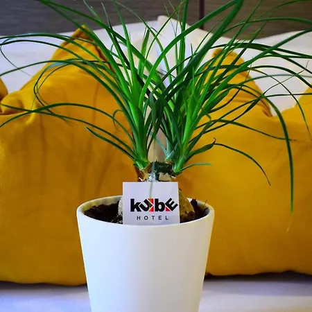 호텔 Kube 폴가리아